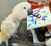 Louie Painting